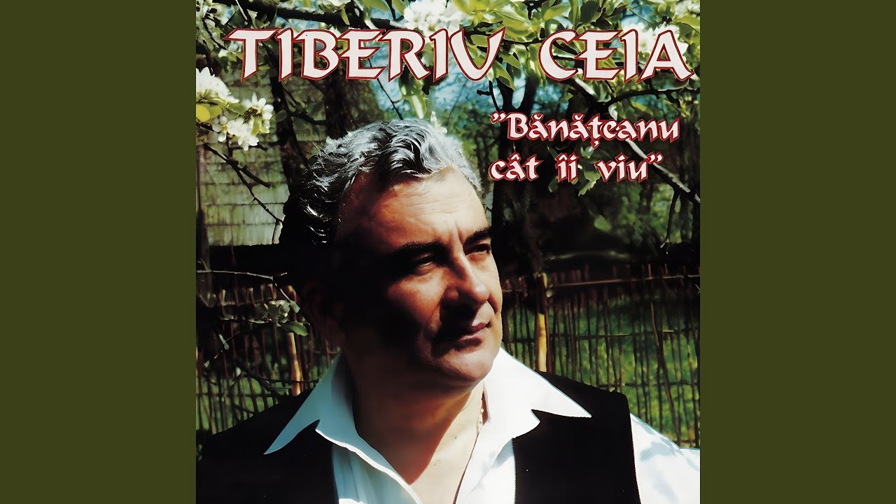 Tot Aşa Mă Bate Gândul