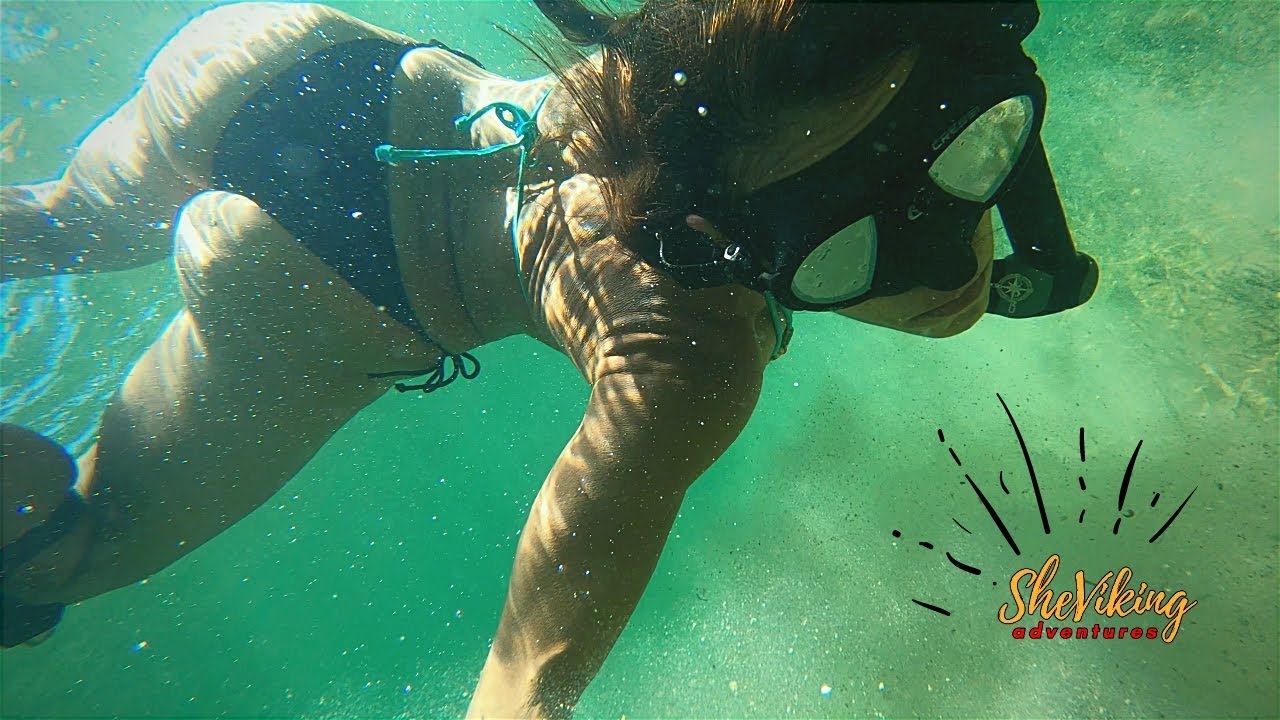 ELLIOTT KEY CAMPING [ HIGHLIGHTS ] Snorkeling In The Mangroves