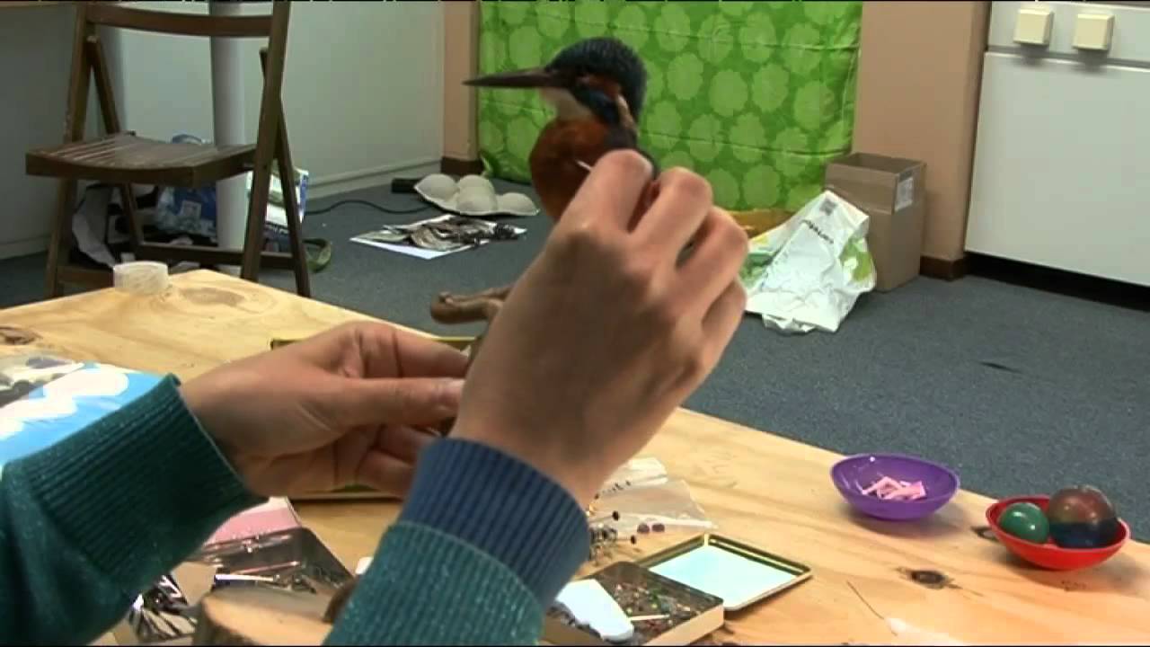 Bastanieuws: Preparateur