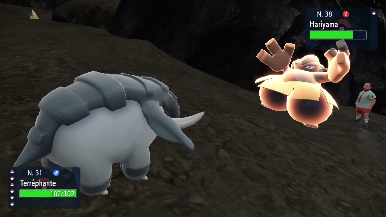 Actually seeing Focus Punch's Animation (Scarlet)