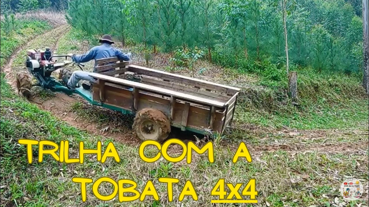 Na trilha do sítio fui buscar as toras #vidanaroça #vidanocampo
