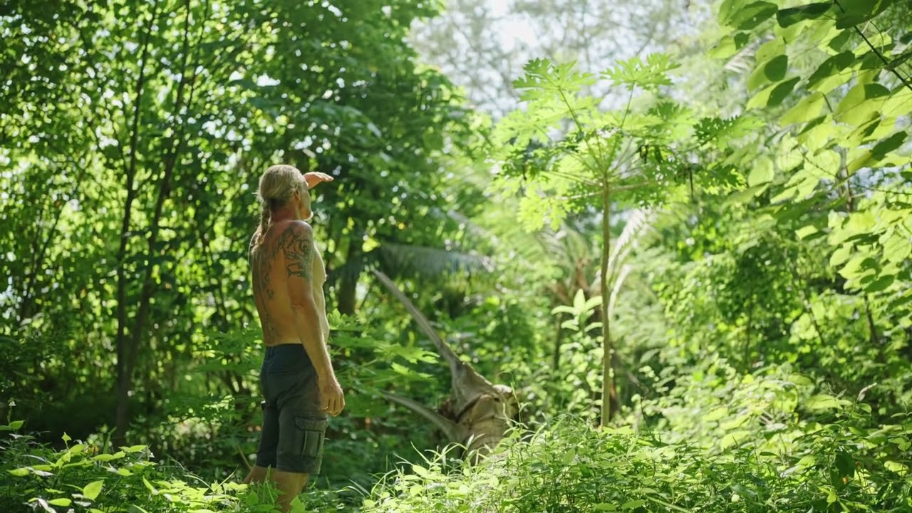 Sacred  Geometric permaculture Mandala Gardens