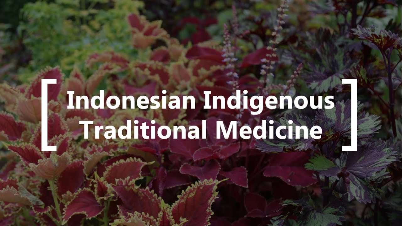 Indonesian Indigenous Traditional Medicine