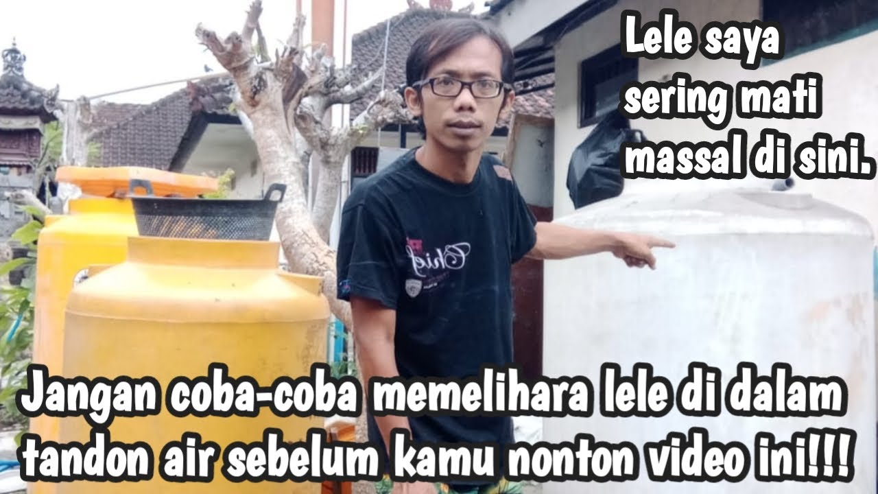 Budidaya Lele Menggunakan Tandon Air Bekas | Murah, Lebih Efektif & Hemat Tempat