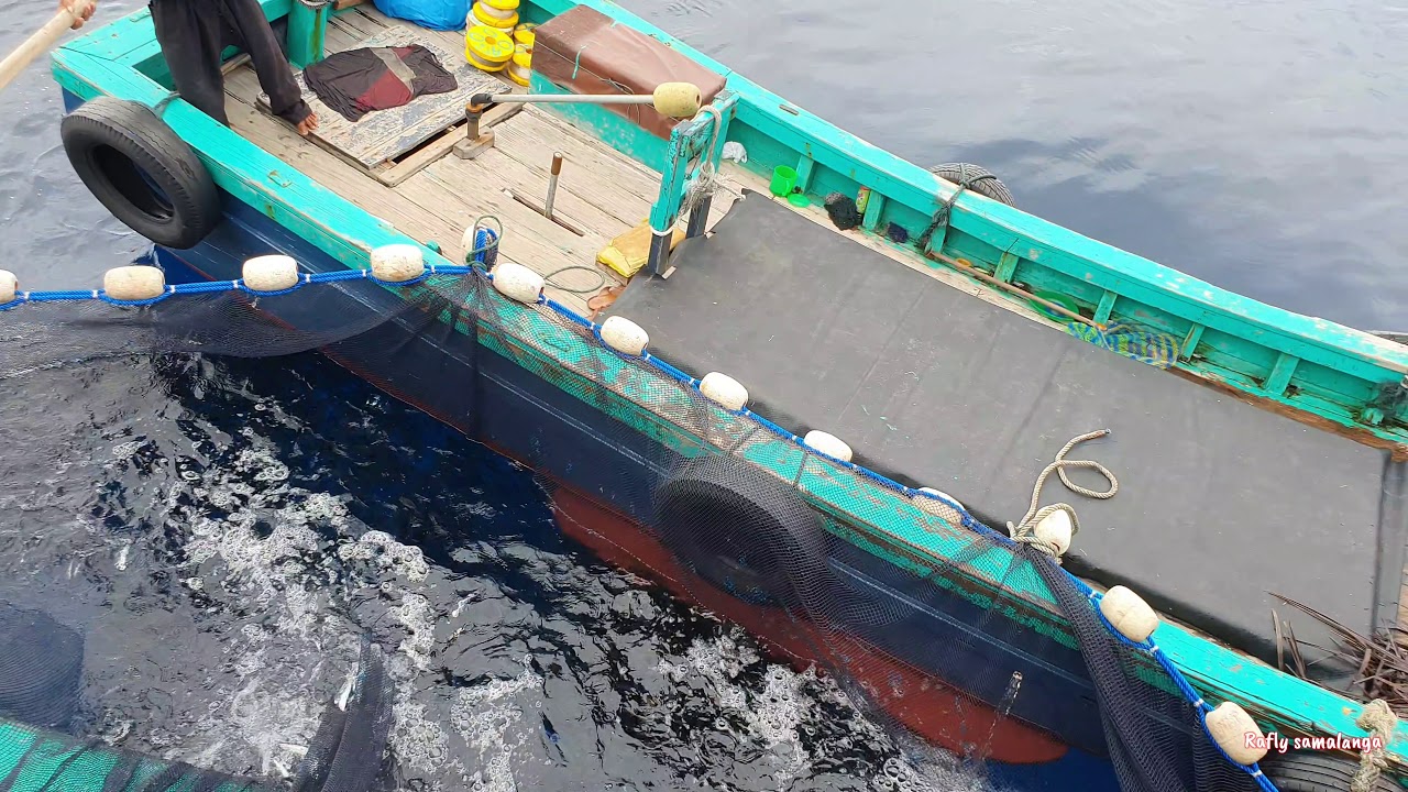 Labuh pukat di rumpon laut dalam