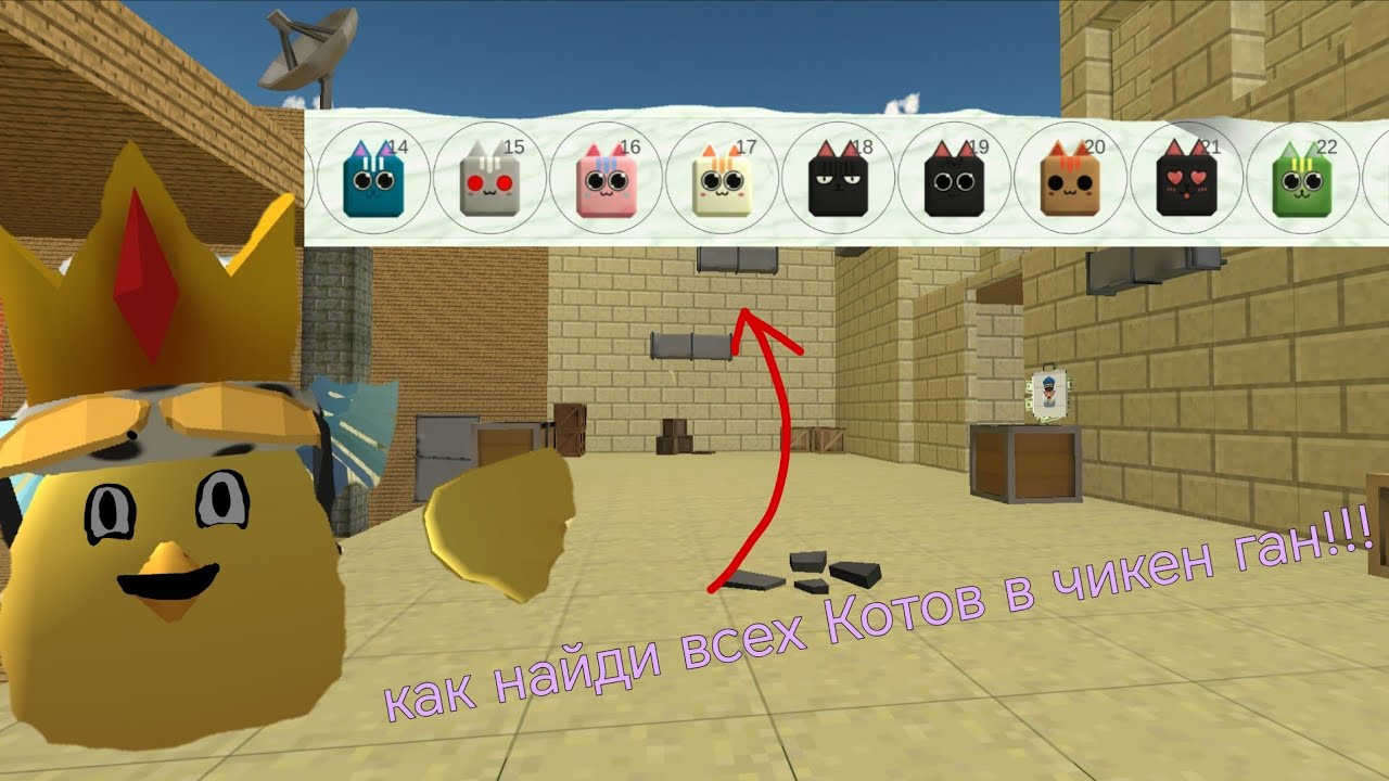 Как найди всех Котов в чикен ган!!!