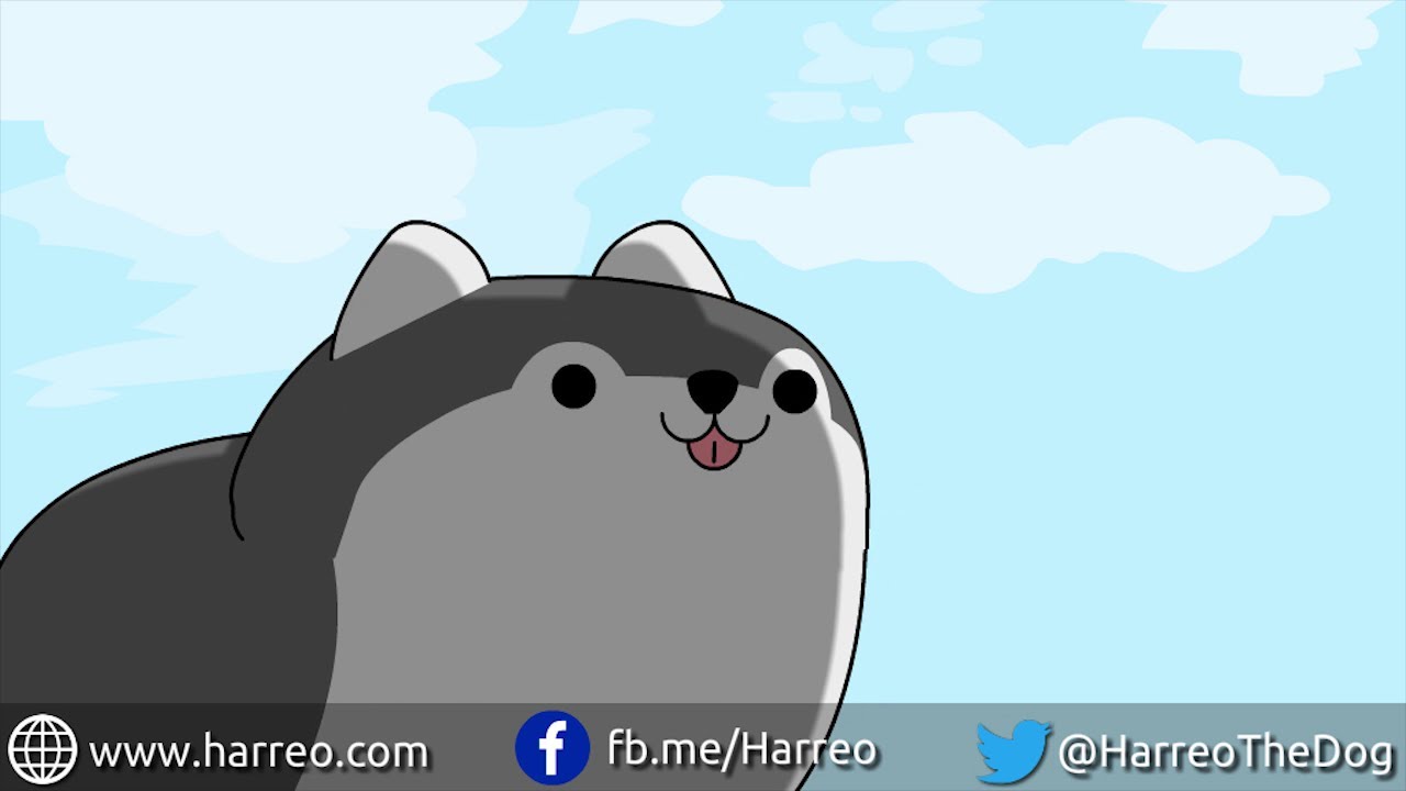 Harreo Life 2 : Treasure Hunt (Cute Dog Cartoon Animation)