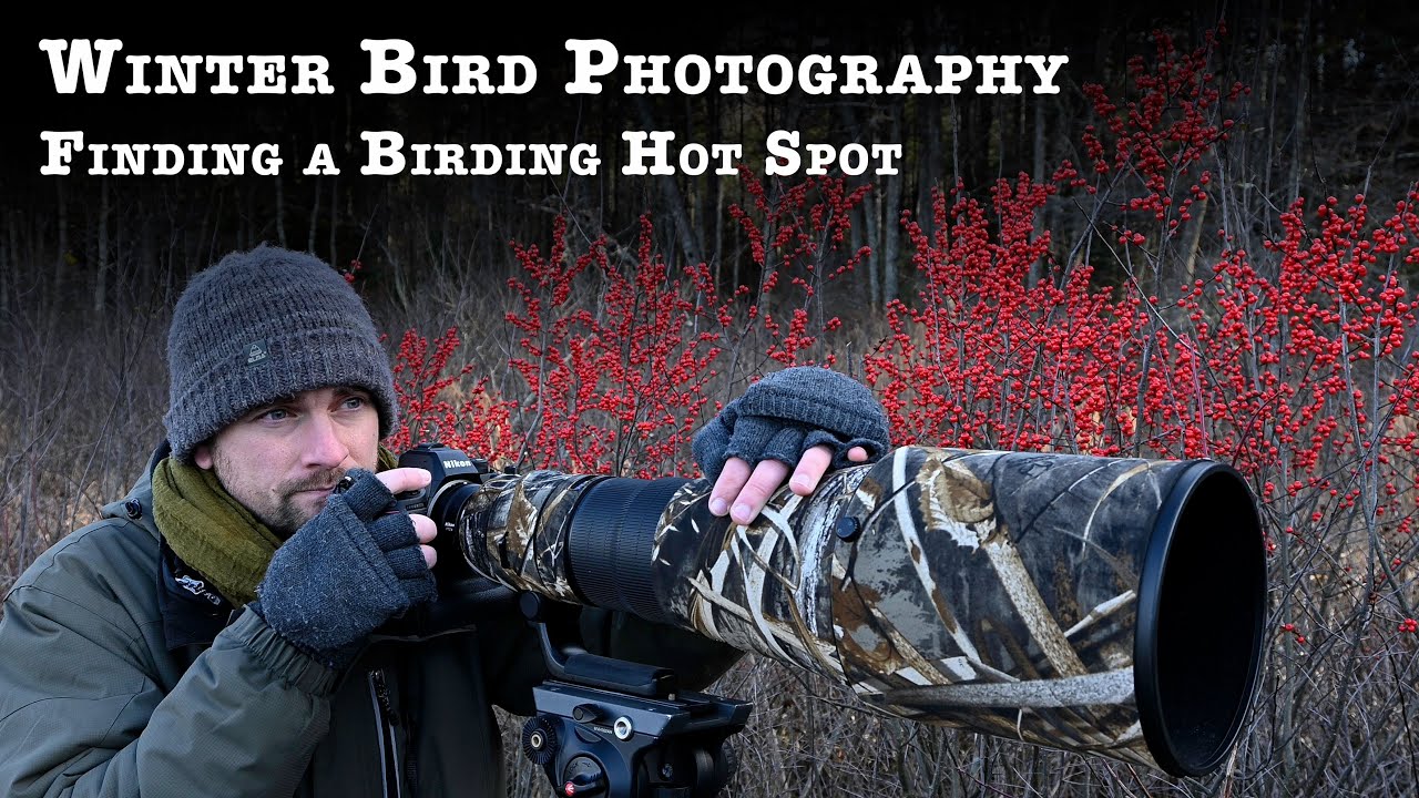 Winter Bird Photography: Finding a Birding Hot Spot