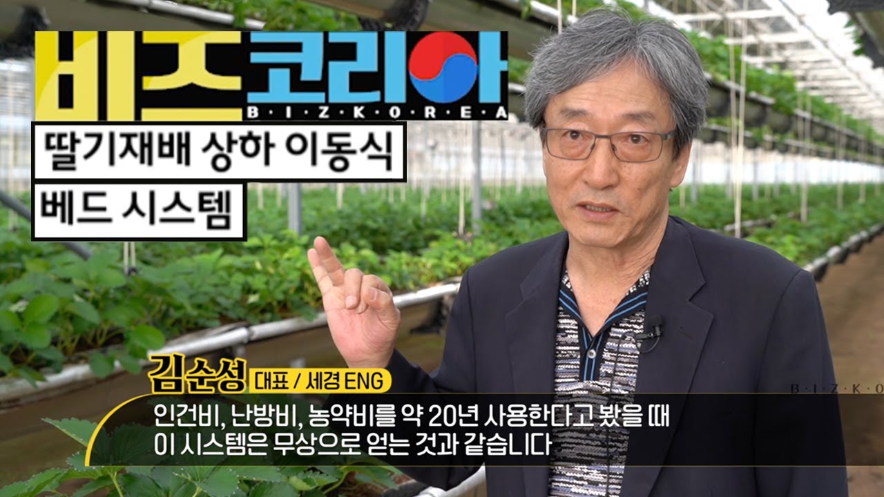 YTN 라이프 비즈코리아 딸기재배 상하 이동식 베드 시스템 YTN life Biz Korea - Strawberry Hanging Up Down Bed Growing System