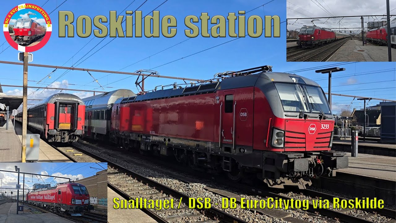 Roskilde station: Snälltåget /  DSB - DB EuroCitytog via Roskilde og andre togklips