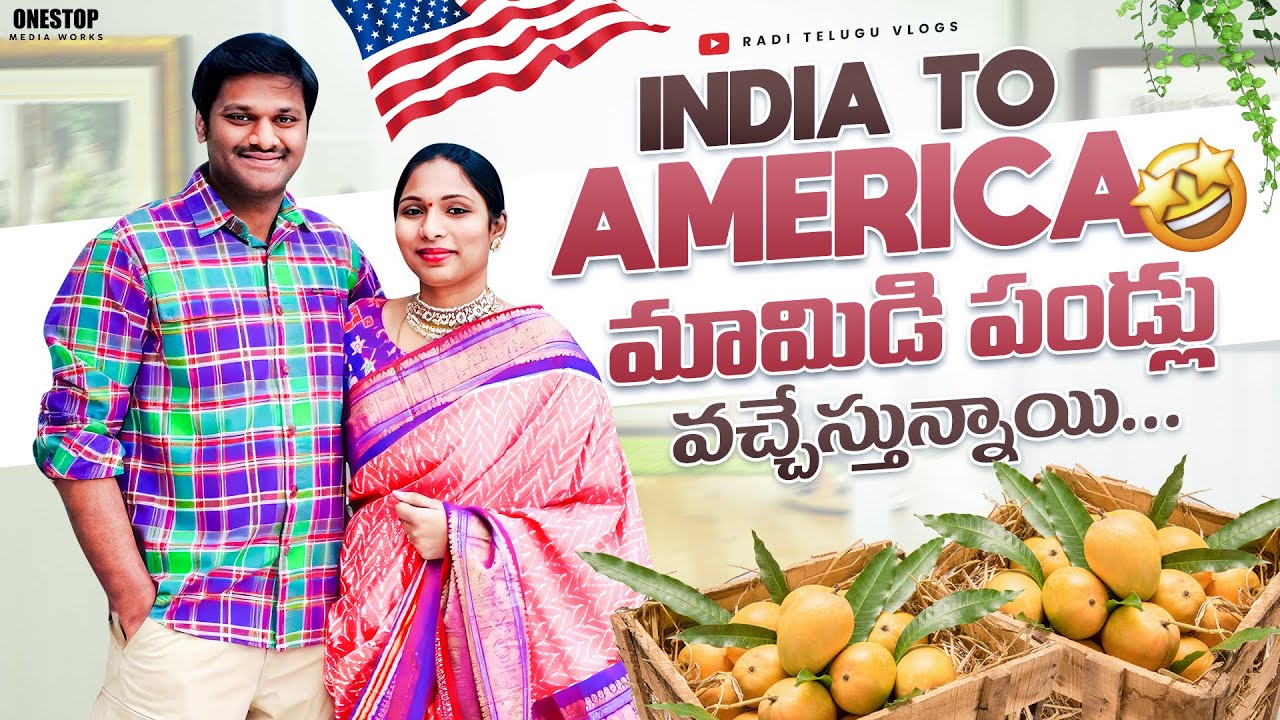 OUR NEWLY ADDED LADDU BOX | FREE DELIVERY AND SHIPPING ON MANGOES | అమెరికాకి మన మామిడి పండ్లు |RADI