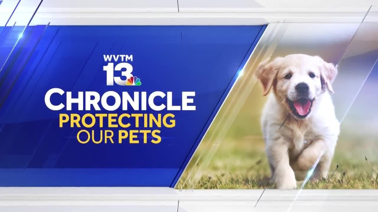 WVTM 13 Chronicle:  Protecting Our Pets