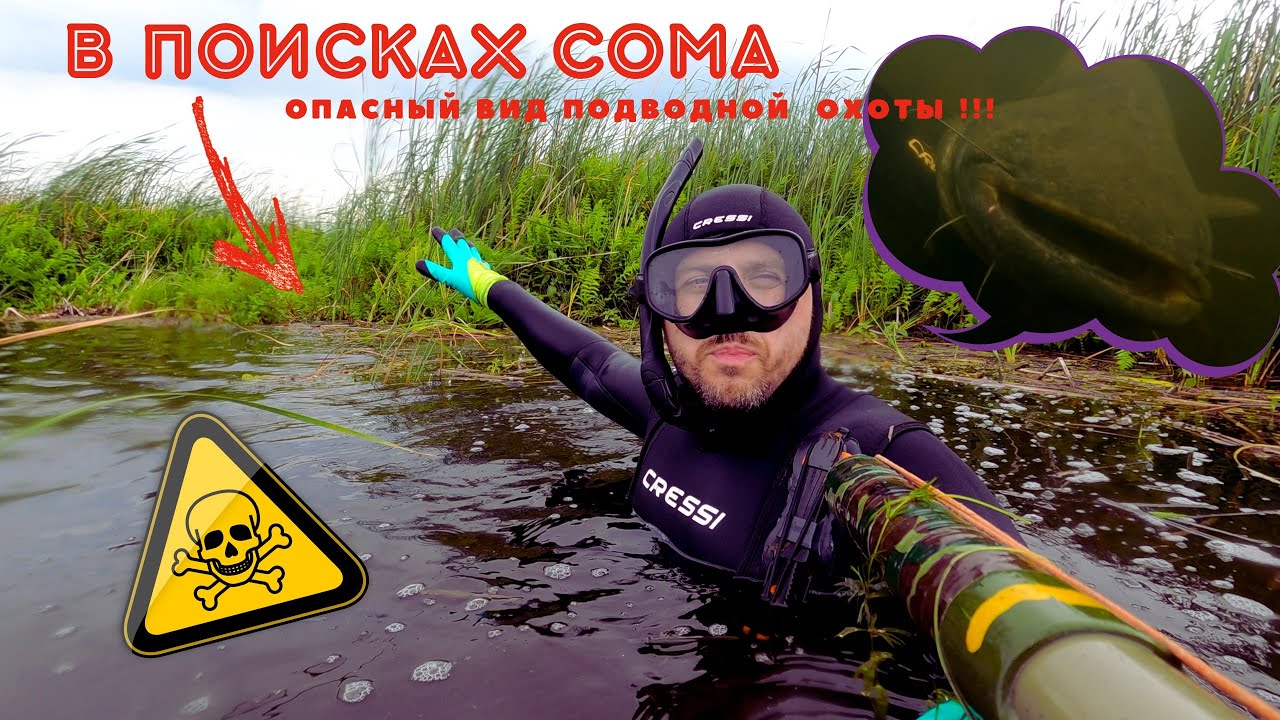 В поисках сомов