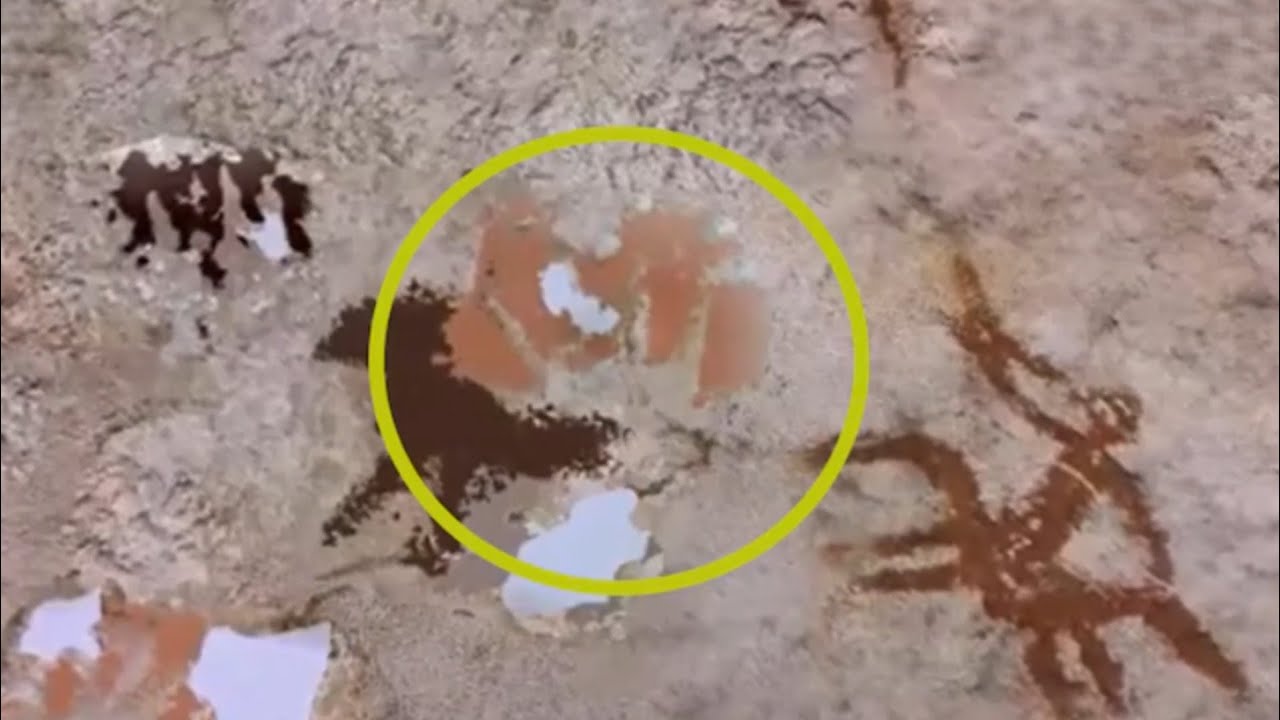 Oldest known rock art discovered in Indonesian cave