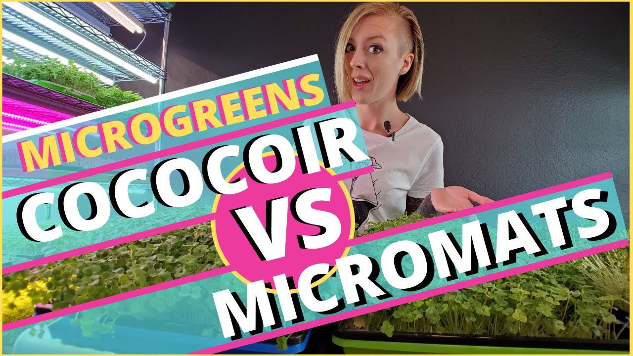 MicroMats против кокосового волокна ПРОВАЛ — Испытания среды для выращивания Microgreen