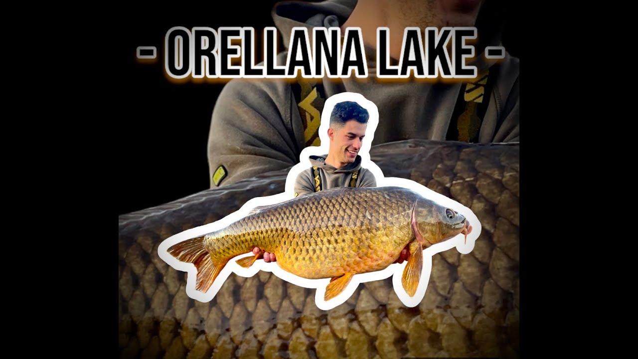 CARPFISHING ORELLANA EN PLENO DICIEMBRE