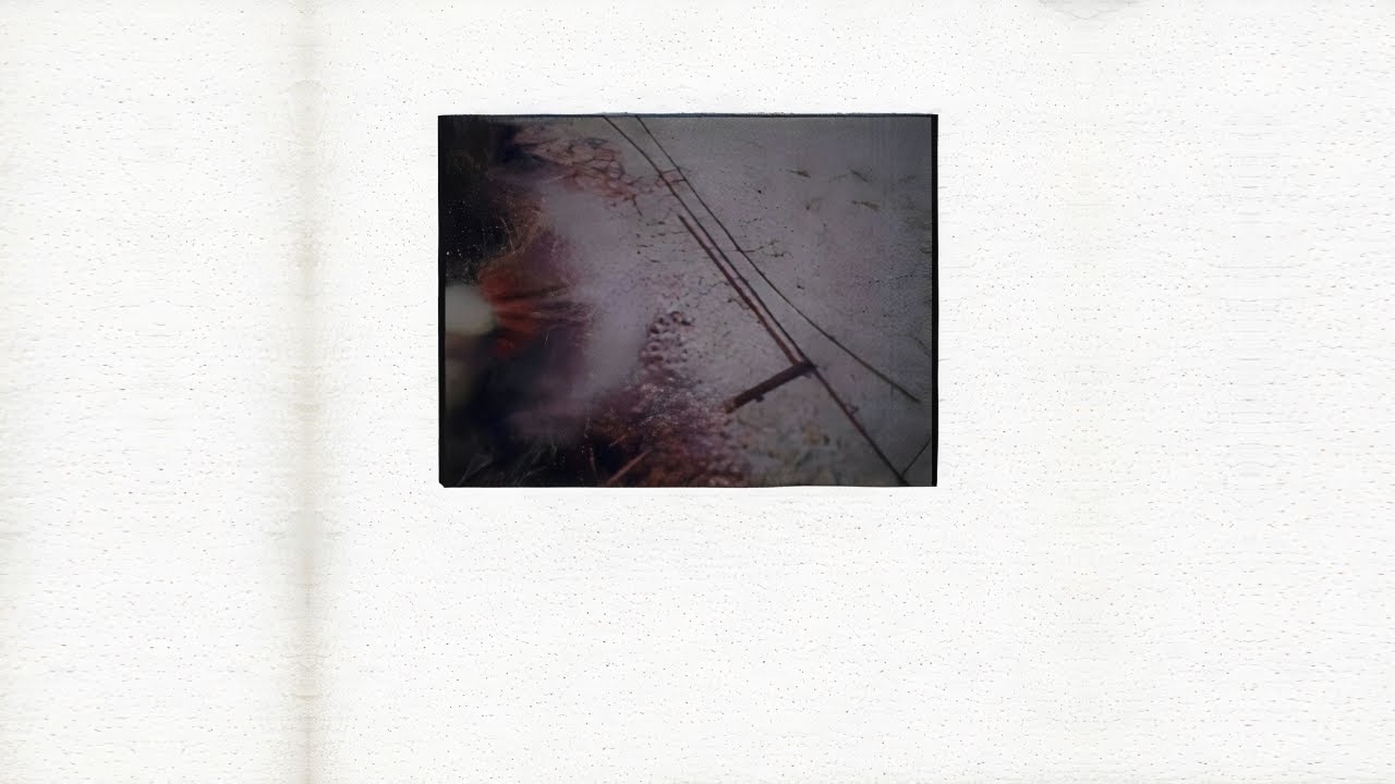 Natural Snow Buildings - Dead Horses
