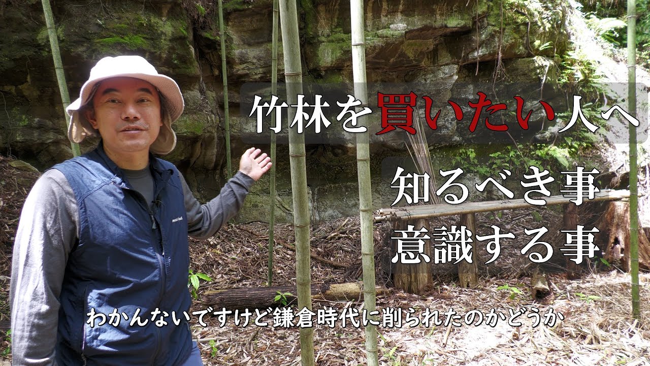 竹林を買いたい人へ　知るべき事　意識する事