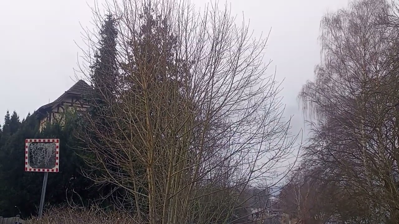 Der Rodelbelblitz nach Arnstadt 
