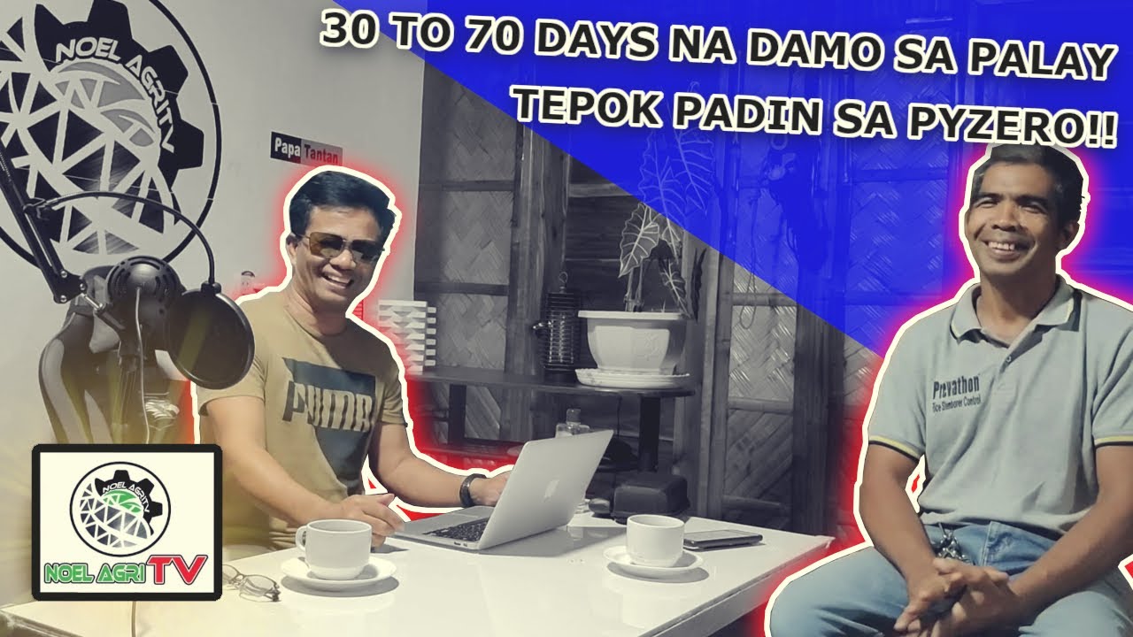 30 to 70 days na damo sa palay Tepok pa din sa Pyzero! alamin ang technique W/ FMC Sales Manager