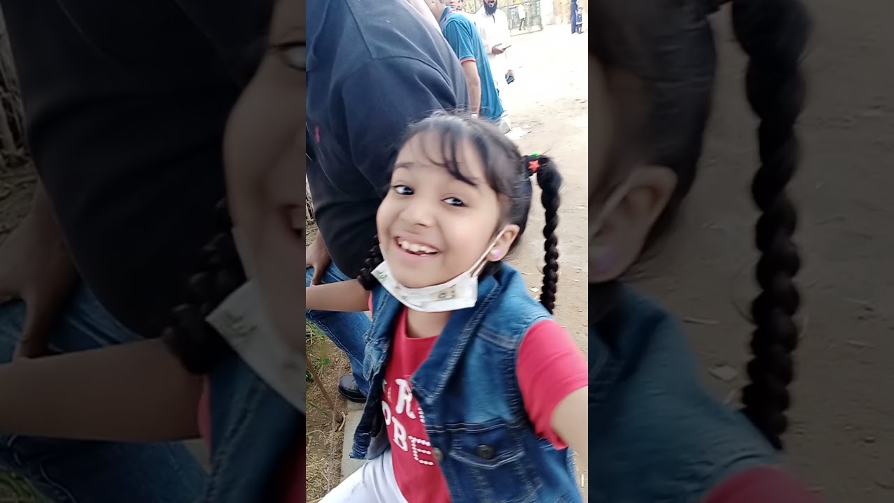 live animals interaction in elixir zoo trip .