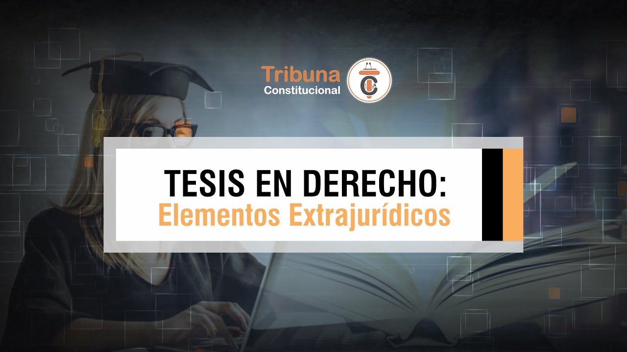 TESIS EN DERECHO: Elementos Extrajurídicos - TC # 338