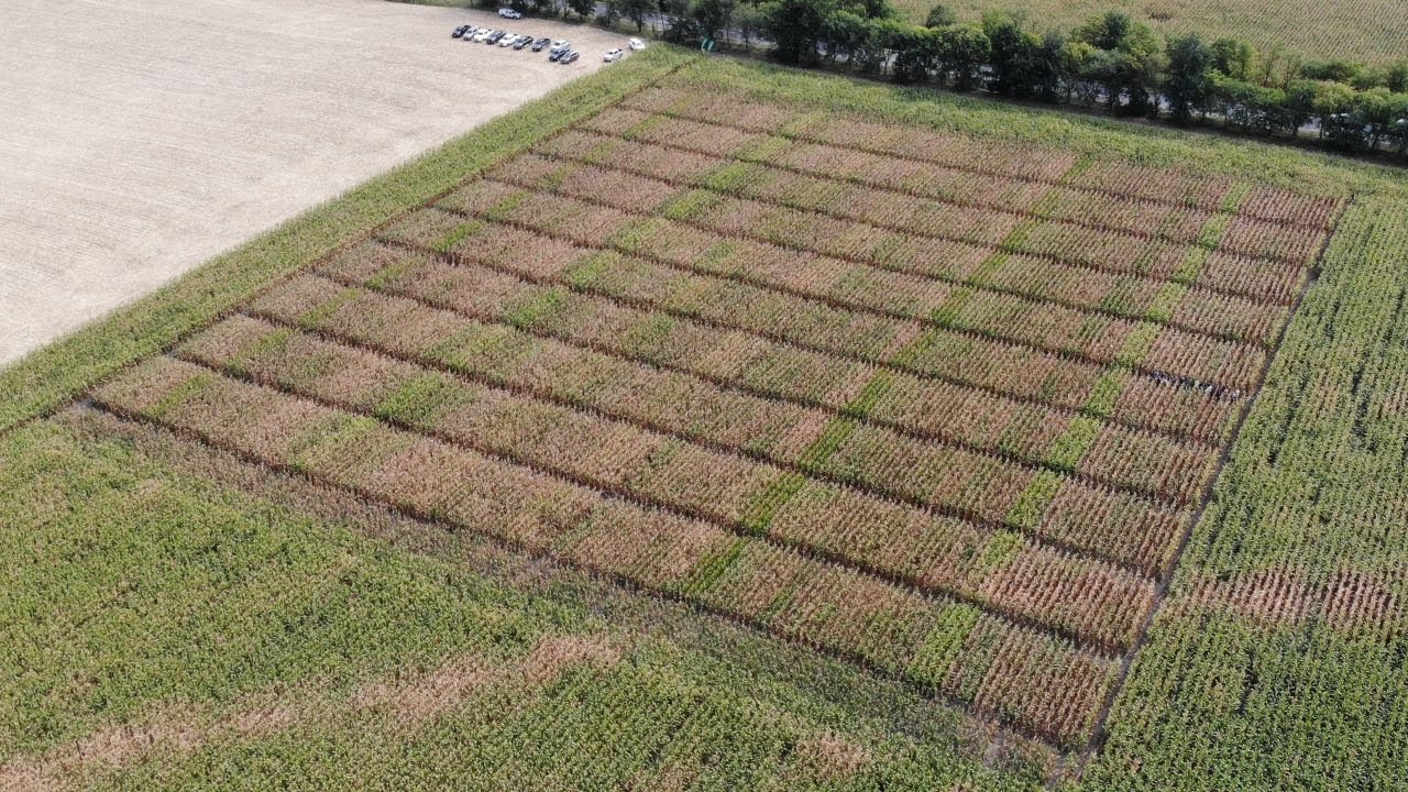 Jó kondícióban vannak a gazdálkodók? - Ilyen volt az AgroFIELDshow Bátyán