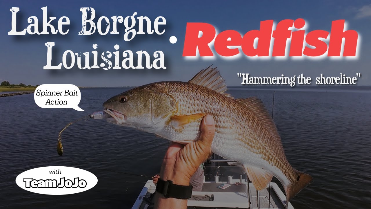 Lake Borgne Louisiana Redfish