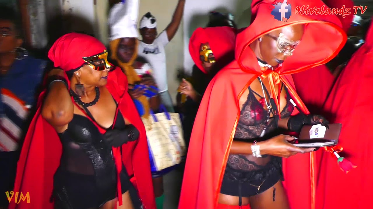 VIM Hincelin L’assainissement 24 02 19 OlivelandzTV