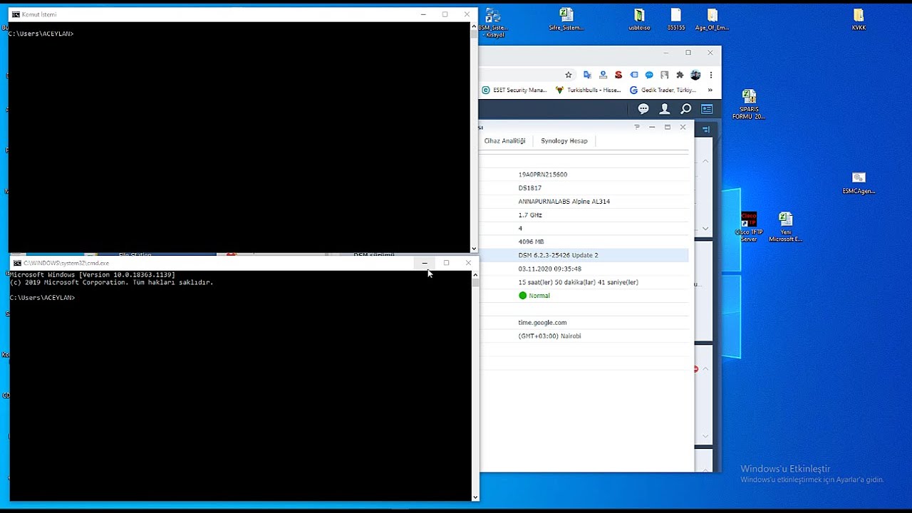 Synology DS1817 Ping Time Problem