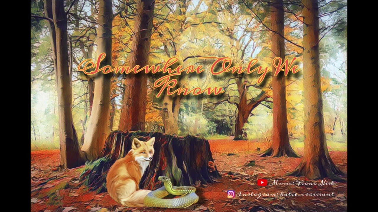 Somewhere Only We Know (Cover)