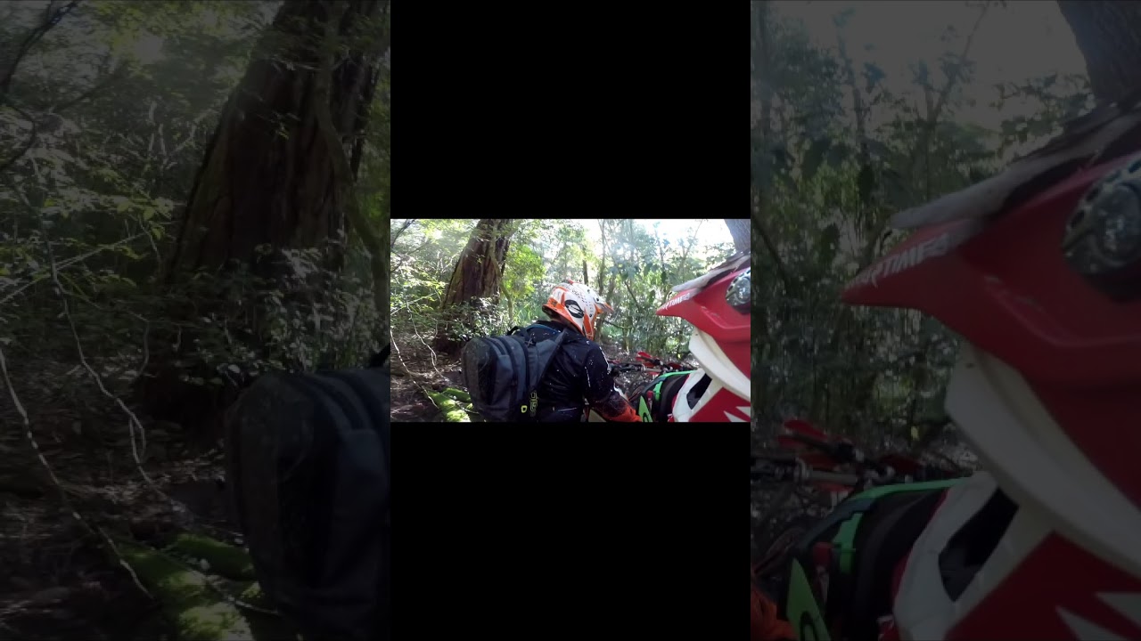 Watagans Cutt Rock Enduro 🪨