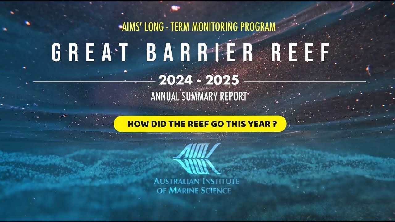 Great Barrier Reef more volatile with sharp declines in coral cover: AIMS annual report 2025