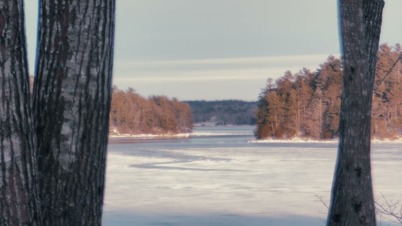 Gentle Flute - Maine Winter Sunset  - Birds - 4k