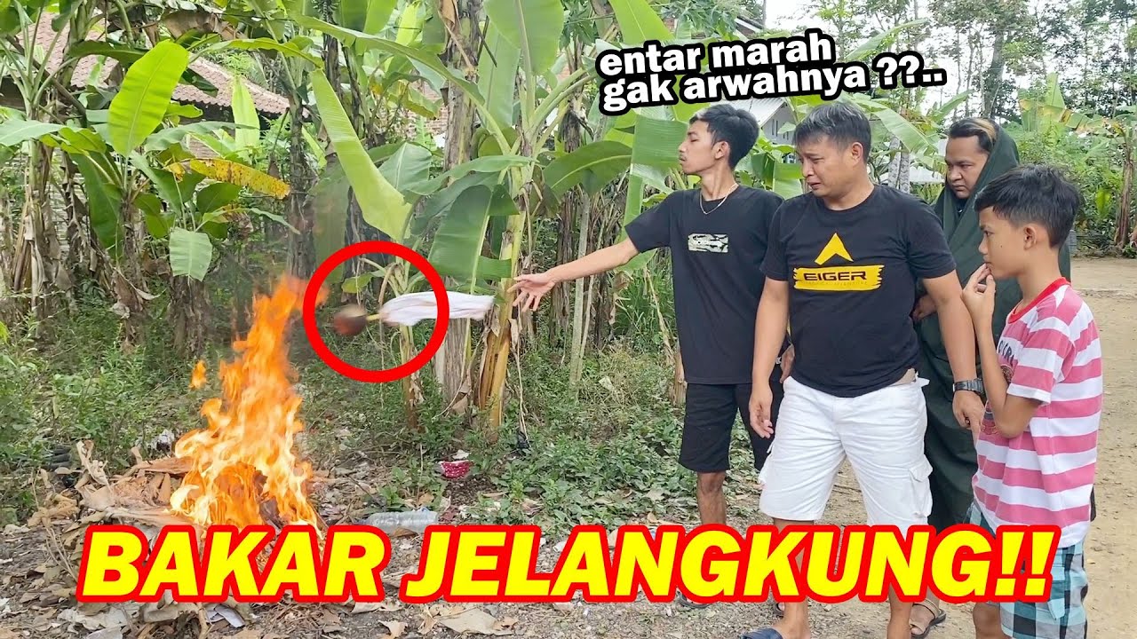 NEKAT BAKAR JELANGKUNG !! Mas joko langsung kena imbasnya..