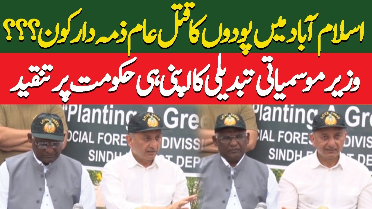 Mussadiq malik criticism on PML N government | imran khan release| Trees cutting in islamabad