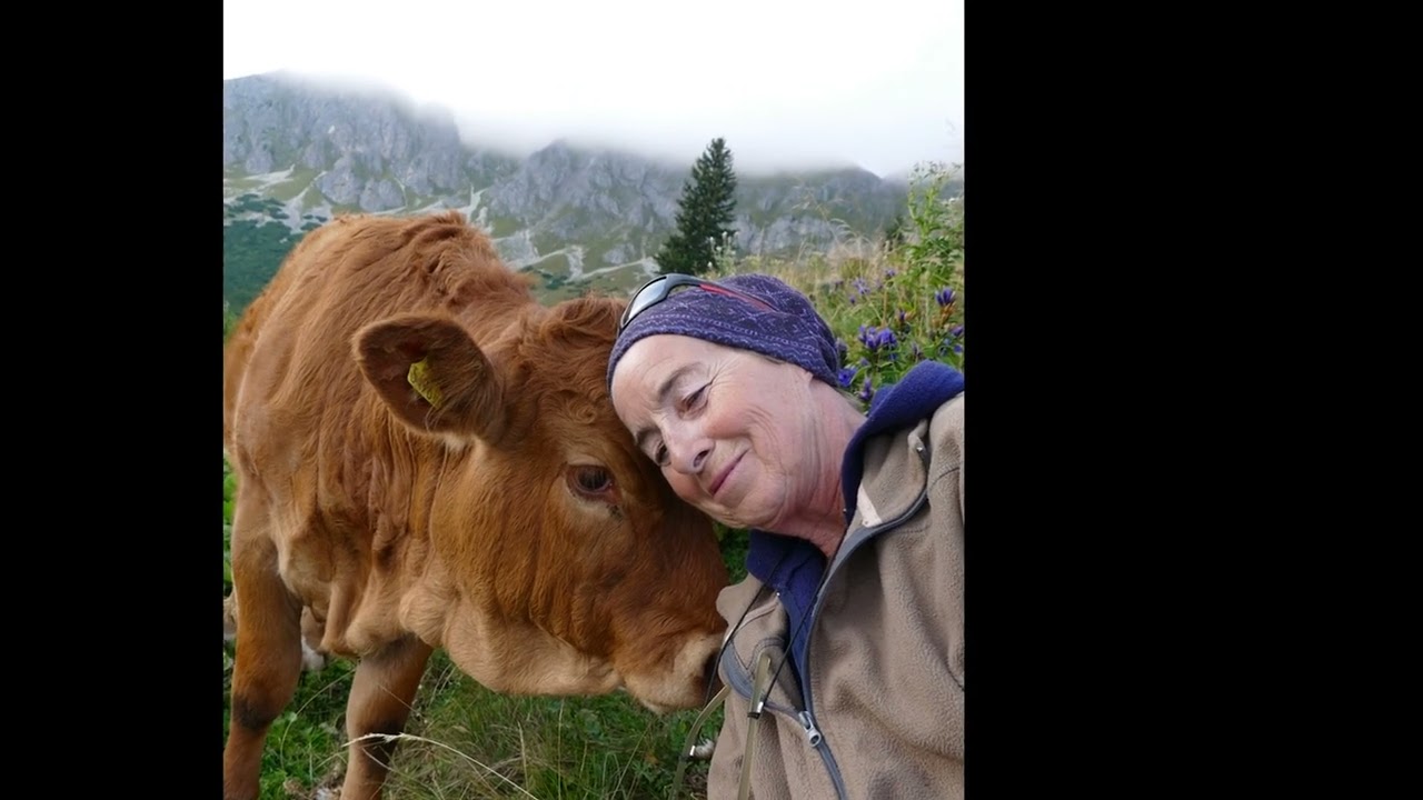 Almabtrieb Brunnalm, Veitsch -Sept 23