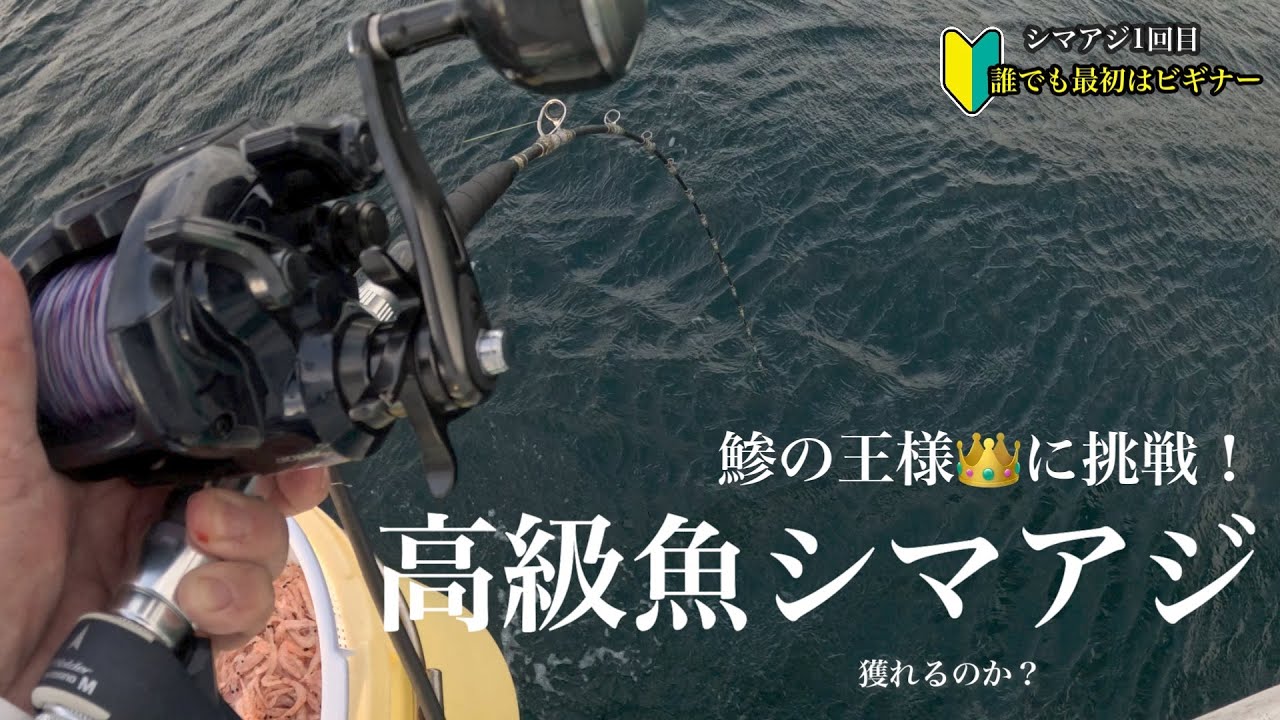 🔰誰でも最初はビギナー【初挑戦シマアジ釣り】鯵の王様・強烈な引きの高級魚を釣り上げることができるのか？　#シマアジ　#船釣り　#釣り