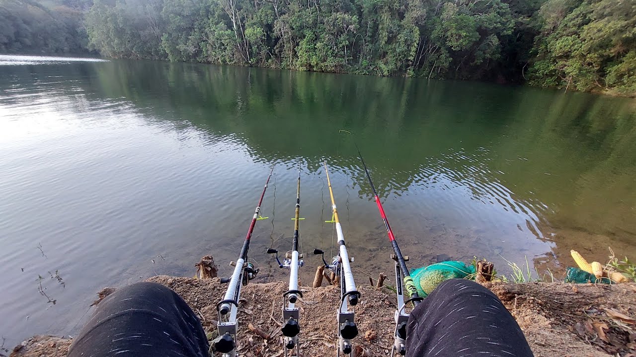 🌙 Tilápias Gigantes na Madrugada – Ultralight em Ação!