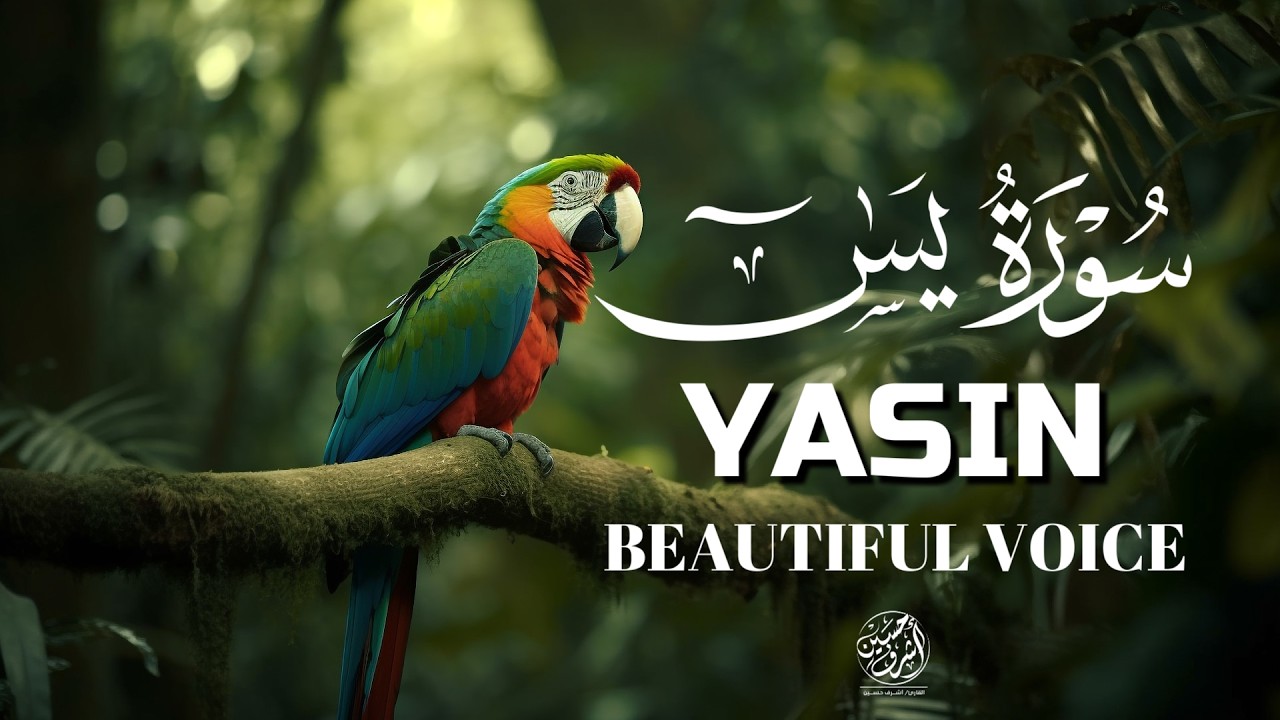 Surah Yasin (Yaseen) for Healing | Relieve Stress, Depression & Anxiety | سورة يس | #surahyaseen