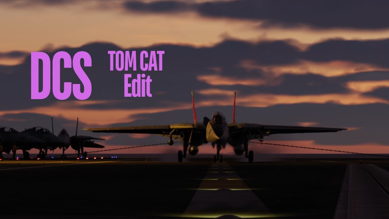 DCS      F14 Tomcat          carrier landings      [    EDIT    ]