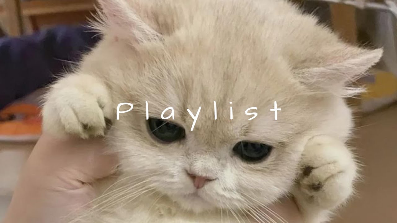 𝐏𝐥𝐚𝐲𝐥𝐢𝐬𝐭 릴스 감성으로 오늘 분위기 완성 🤍🎧 | reels · mood · relax · study
