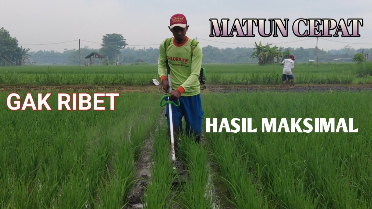 ALAT MATUN MODIF SENDIRI