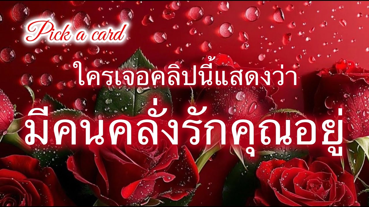 Pick a card❤️‍🔥Ep.474 | มีคนแอบคลั่งรักคุณอยู่ตอนนี้❤️Timeless✨