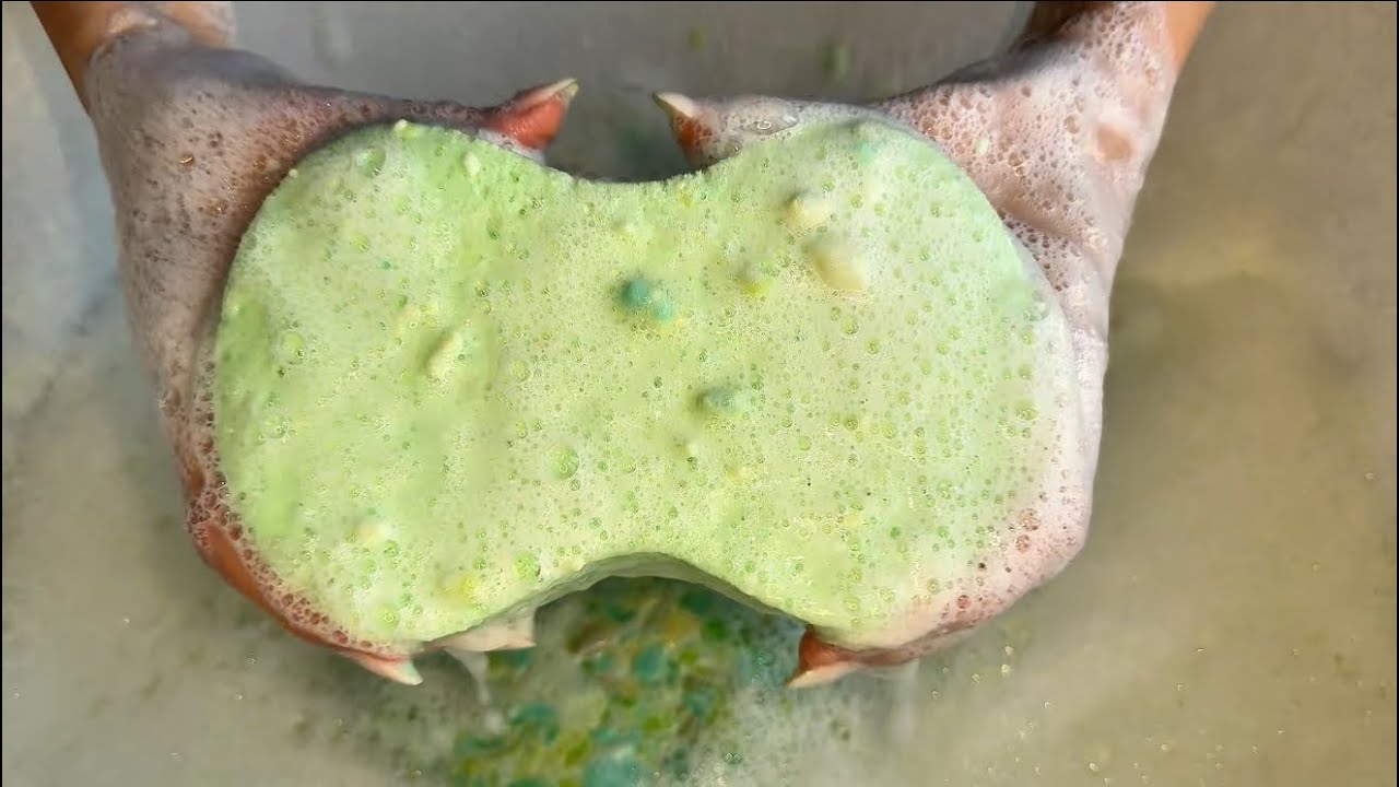 Asmr soap and sponge🧽🧼🫧🤤 #asmrsoap #sponge 