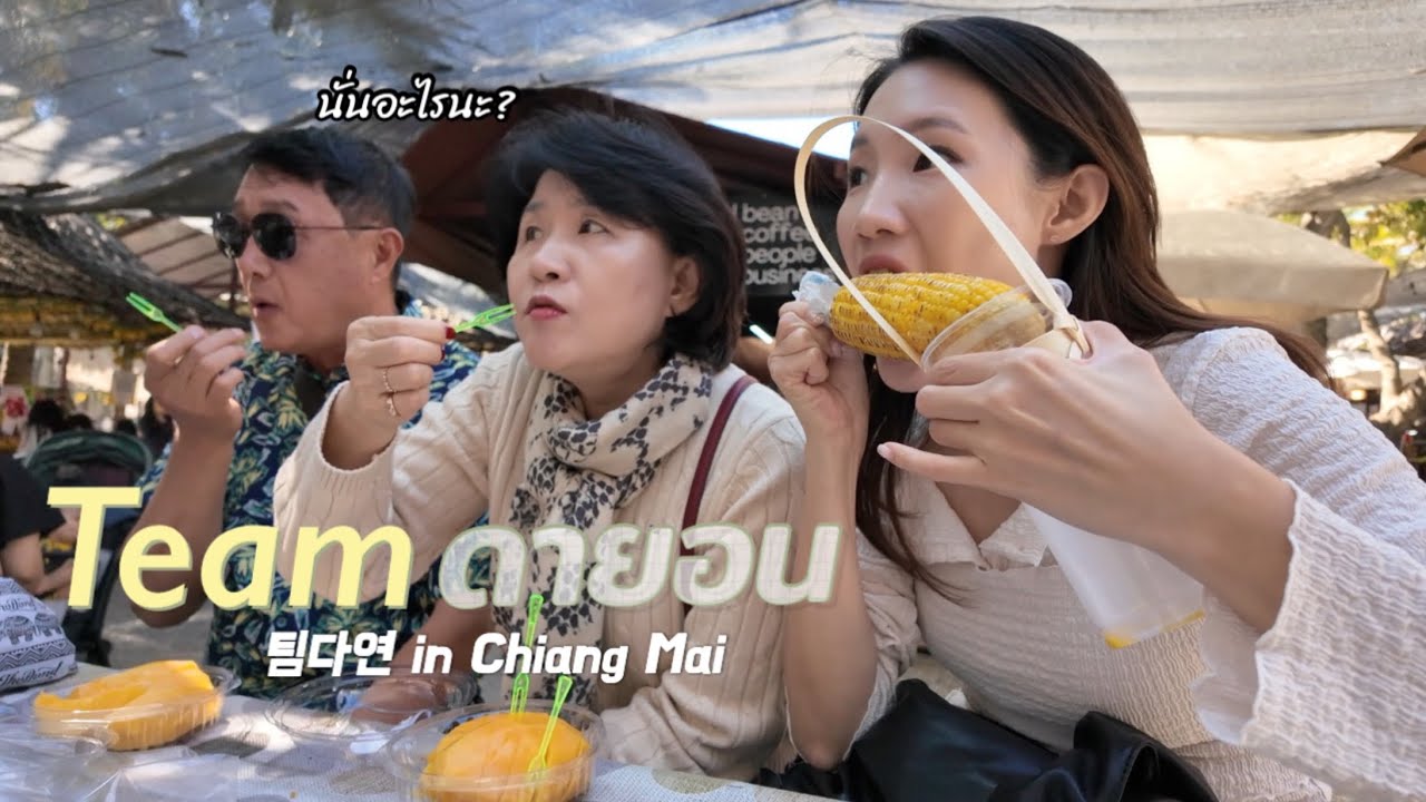 เที่ยวเชียงใหม่ พารุ่นใหญ่เที่ยวไปตามกระแส ปี2026 의식의 흐름대로 여행하는 치앙마이 여행 (타패게이트, 코코넛마켓, 치앙마이 맛집)