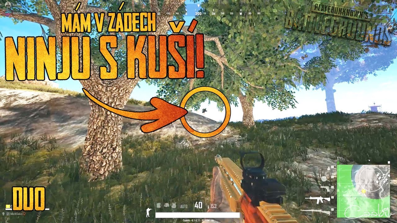 NINJA S KUŠÍ JE MI V PATÁCH! | PUBG CZ/SK
