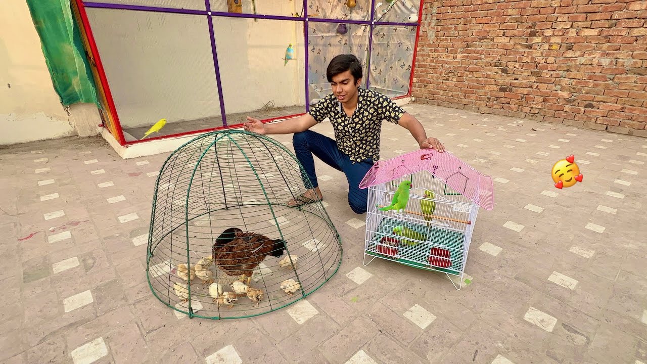 Mini Zoo Me New Pets Agai 😍