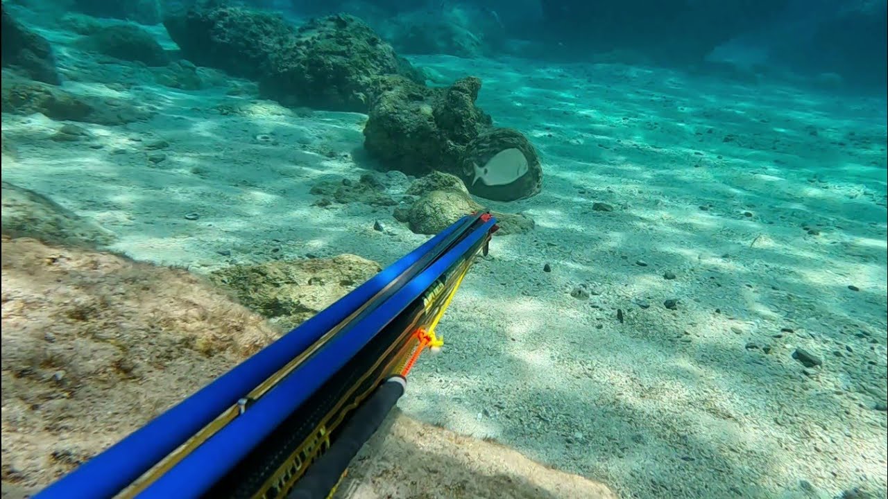 Antalya/Kaş Zıpkın avı (2023)