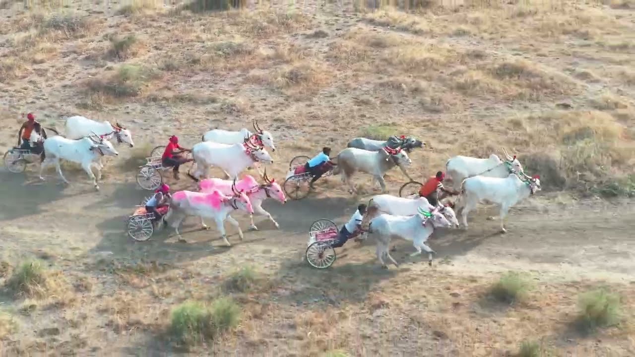 कोंगाई देवी यात्रा कोंगनोळी ब गट बैलगाडी शर्यत बक्षीस 7000